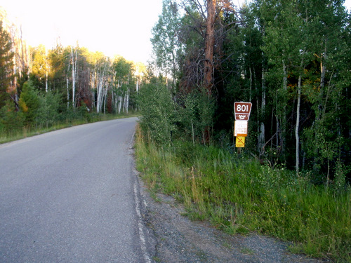 NF 801 is paved for 100 feet/33 M.